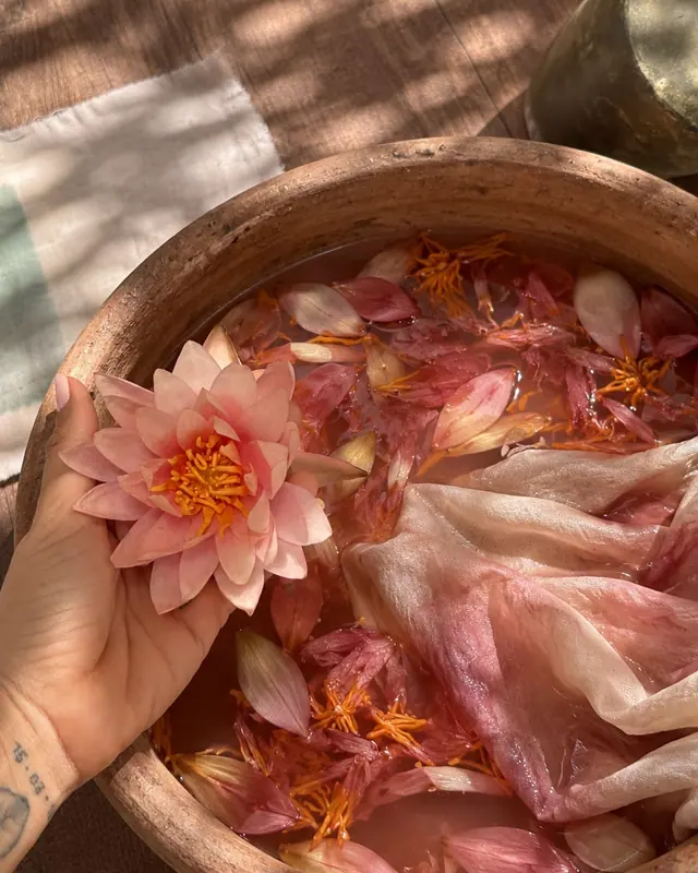 Lotus blossom and fabric in a botanical dye bath